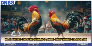TIN TỨC - DN88 - Lorin