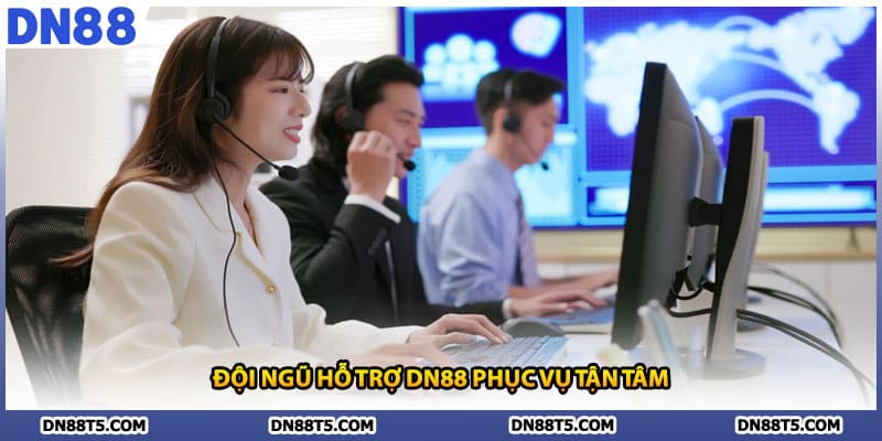 Liên Hệ DN88 Giải Đáp Mọi Thắc Mắc Chỉ Trong 1 Phút - Lorin