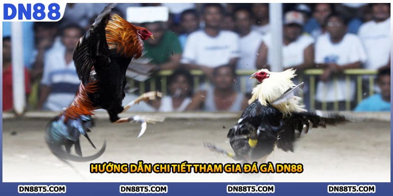 Đá Gà DN88 Trải Nghiệm Cá Cược Đỉnh Cao Với Chiến Kê Máu Lửa - Lorin