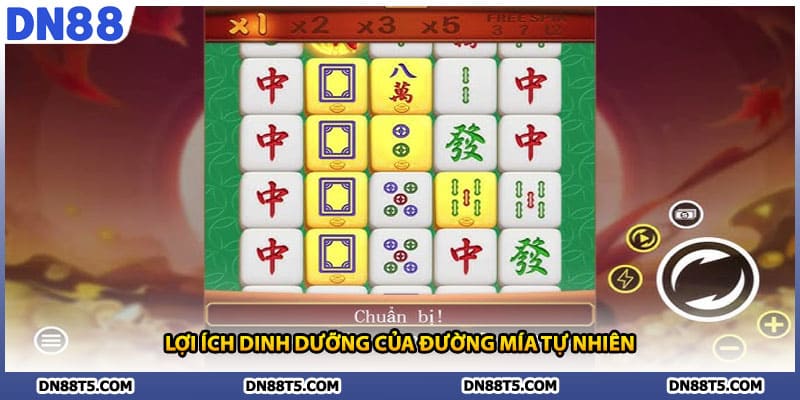 Đường Mạt Chược DN88 Hương Vị Truyền Thống Đường Mạt Chược - Lorin
